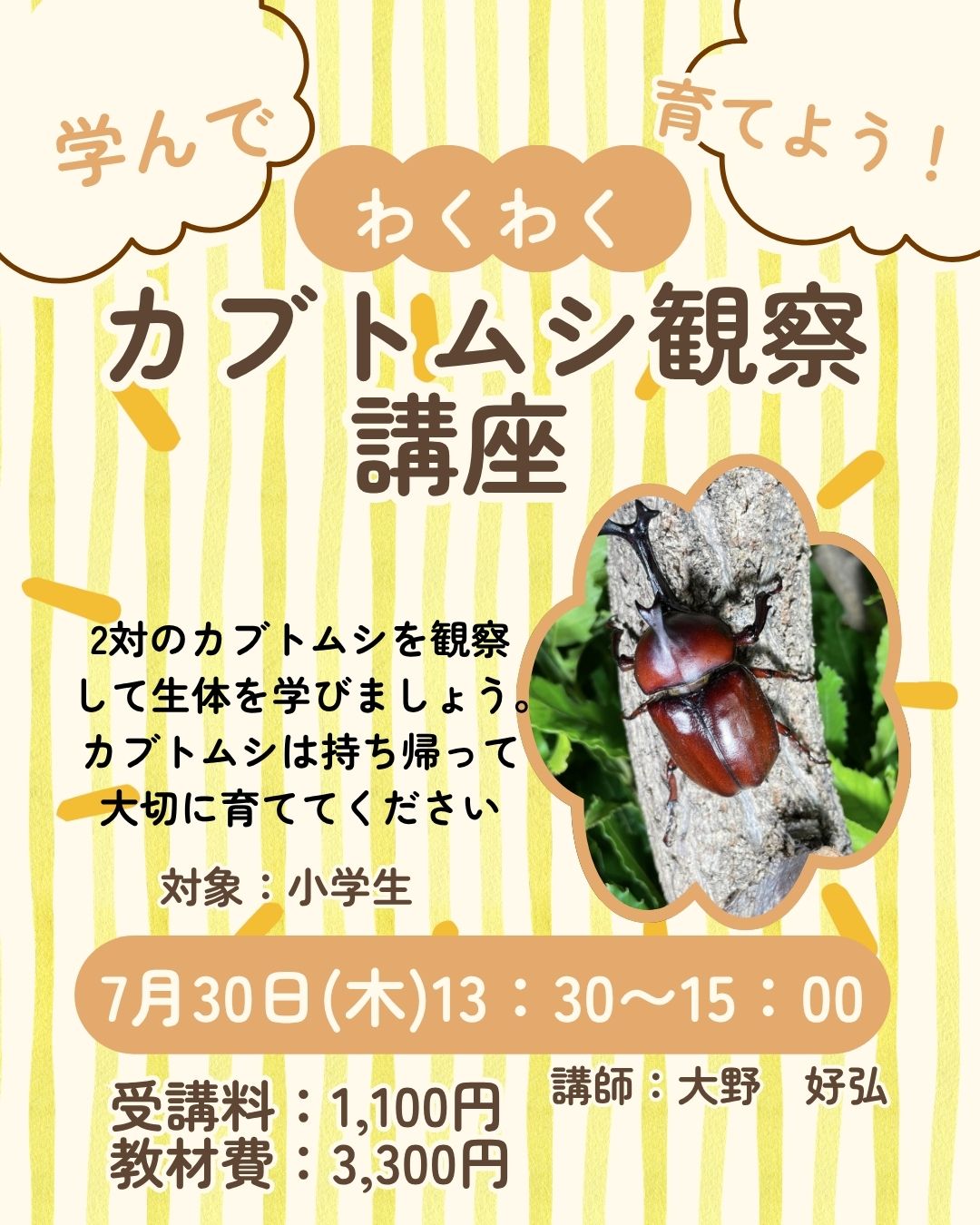【夏休み1Day講座】